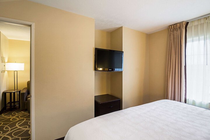 1 King Bed Suite (20 of 22)