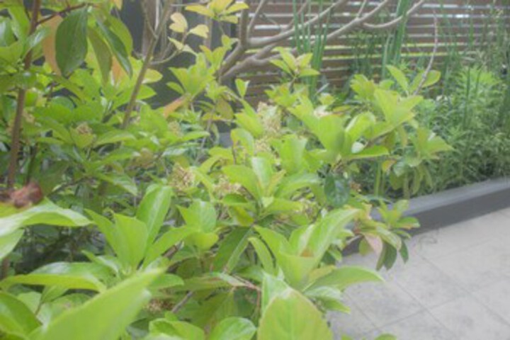 Terrace/Patio 82 of 123
