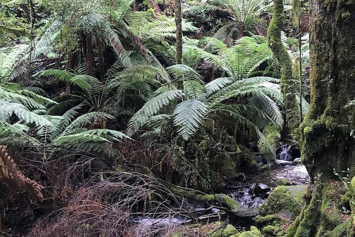 Outdoor Activities 22 of 27