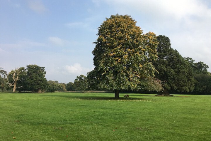 Photo 18