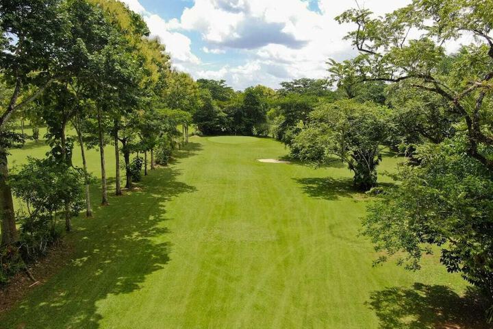 Golf 26 of 40