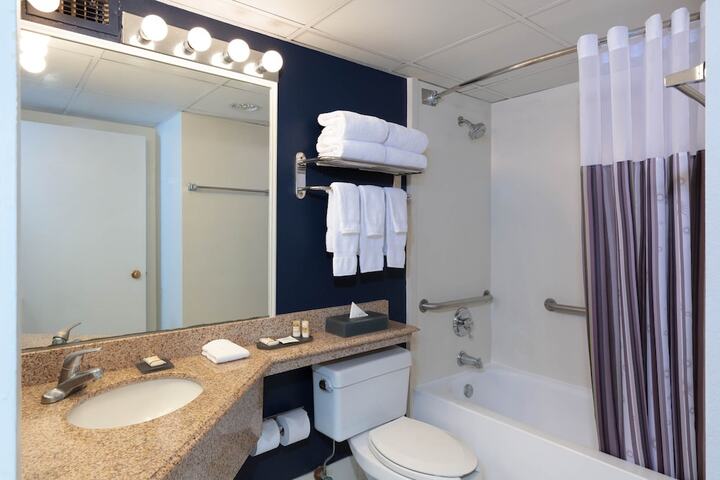 1 King Bed 1 Bedroom Suite (7 of 9)