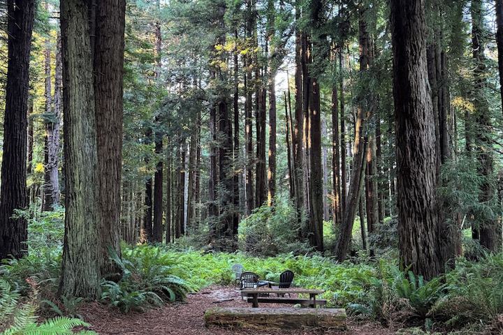 Property Grounds 28 of 31