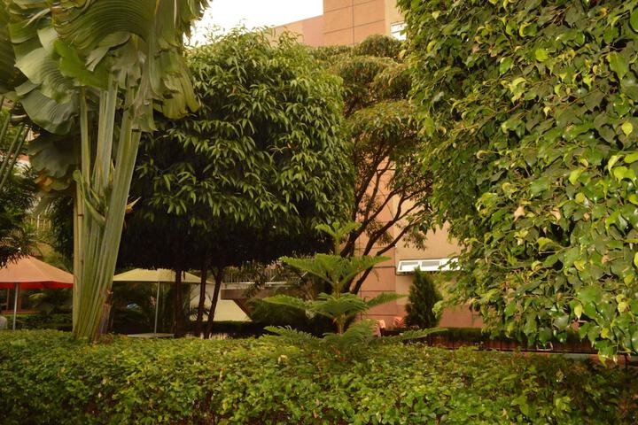 Hotel Exterior 67 of 80