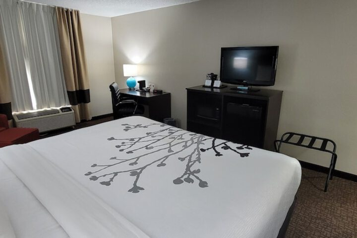 1 King Bed | (8 of 12)