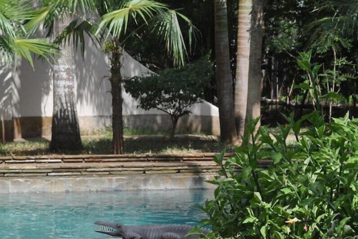 Pool 43 of 174