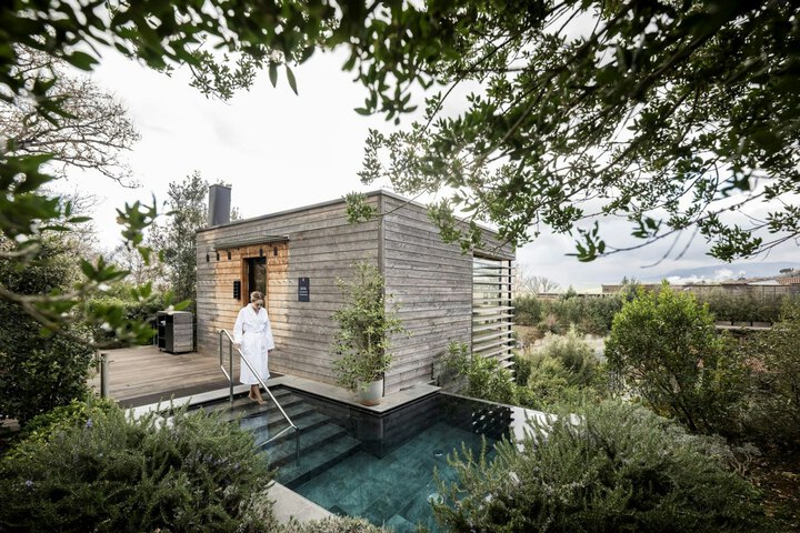 Wellness Treatments