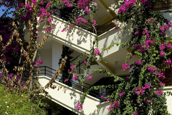 Hotel Exterior 68 of 70