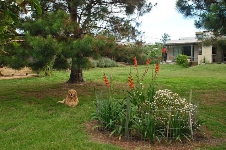 Property Grounds 17 of 26