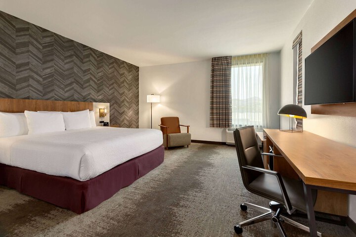 1 King Bed (3 of 16)