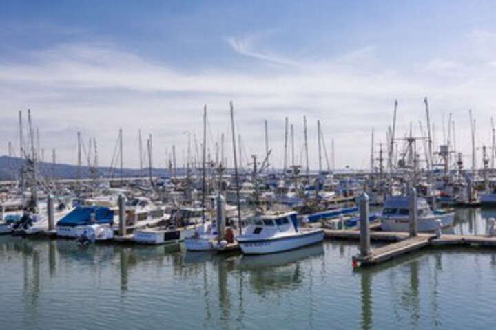 Property Grounds 25 of 42