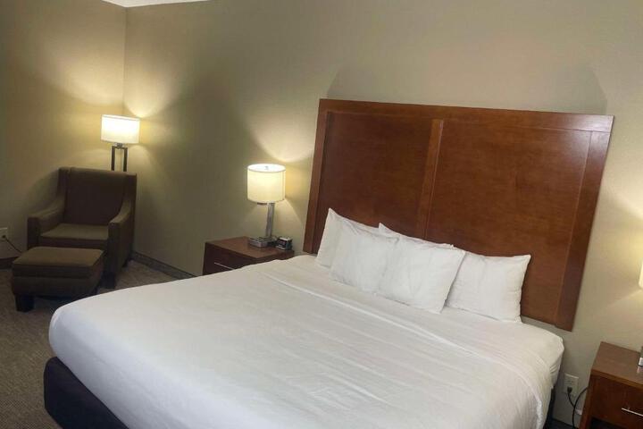 Standard | King Bed (5 of 9)