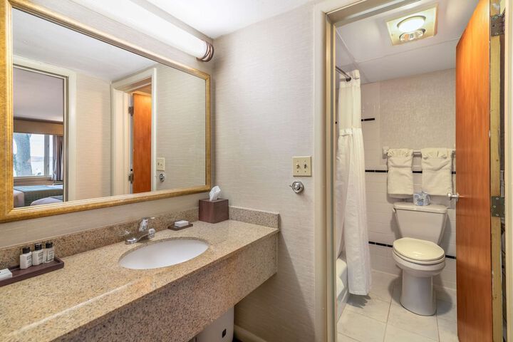 Standard Room, King or Two Doubles (3 of 5)