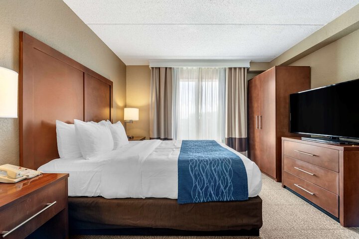 Business 2 Queen Beds Accessible (12 of 24)