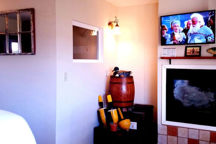 Television