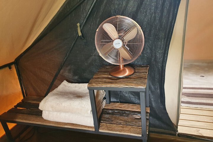 Room 14 of 40