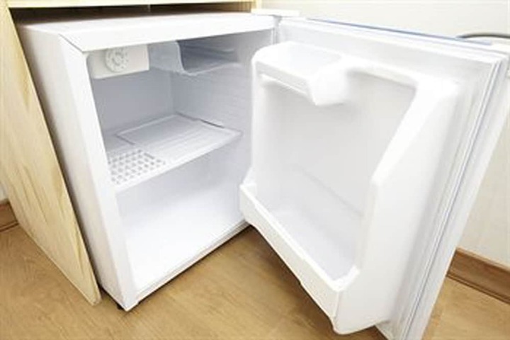 Mini-refrigerator