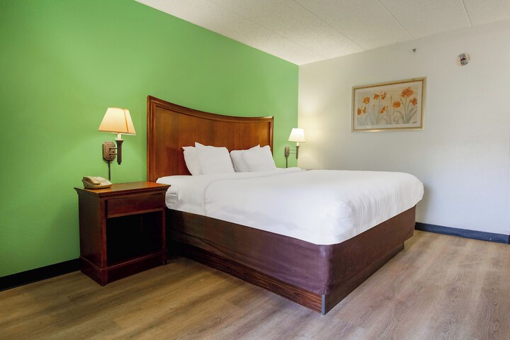 1 King Bed (22 of 38)
