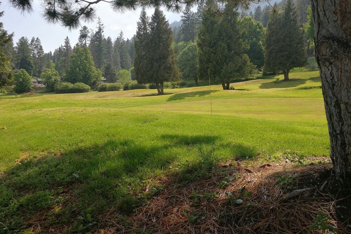 Golf view