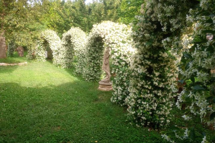 Tenuta le pantanelle