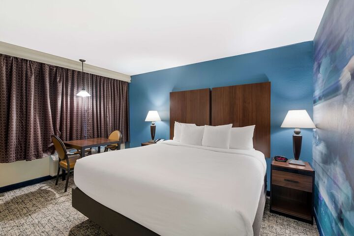 1 King Bed Downstairs High Speed Internet Micro Frig Full Breakfast (10 of 24)