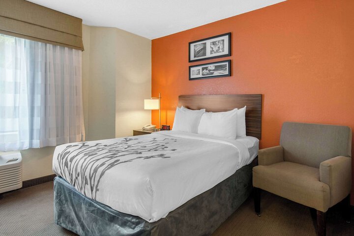Double Accessible King Size Bed (3 of 16)