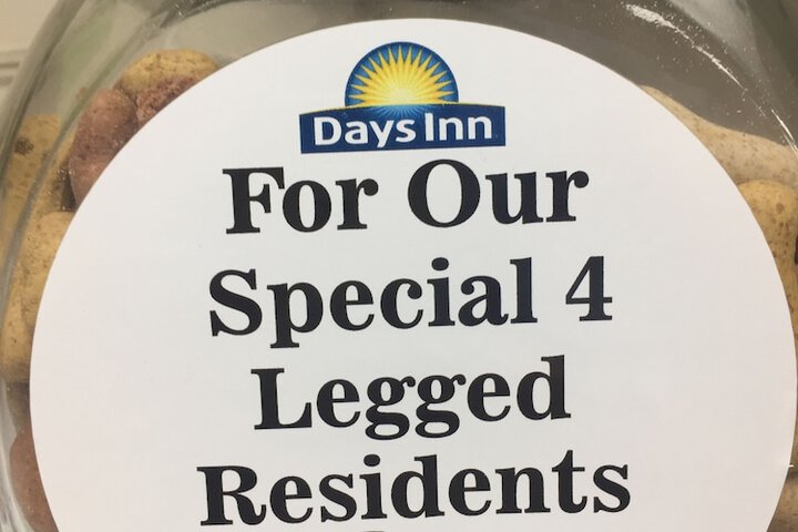 Pet Friendly 17 of 25