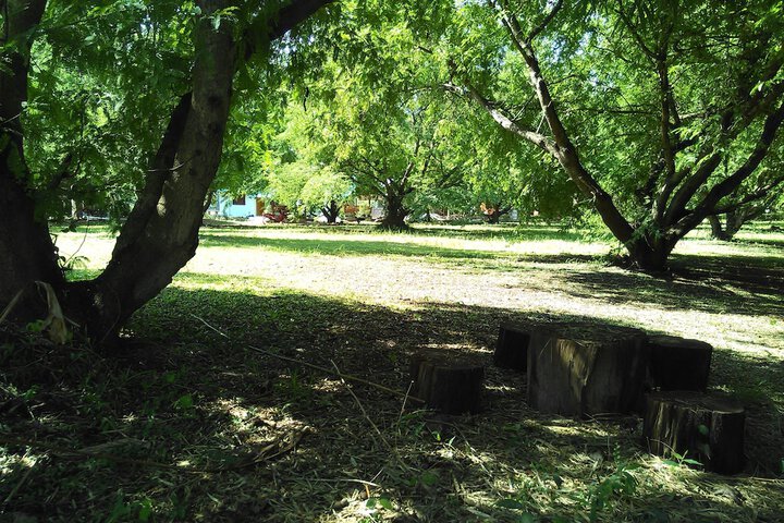 Property Grounds 26 of 30
