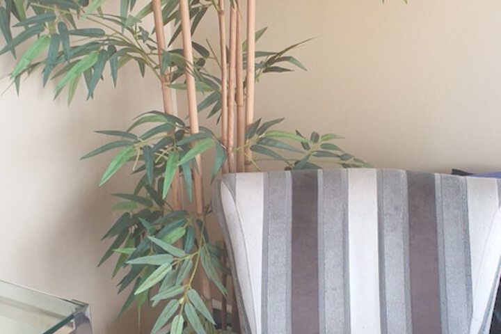 Departamento Privado y Centrico en Lince