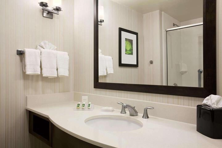 1 King Mobility Accessible with Roll in Shower (14 of 28)