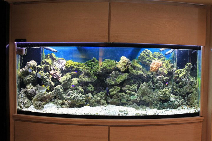 Hotel Interior 5 of 66