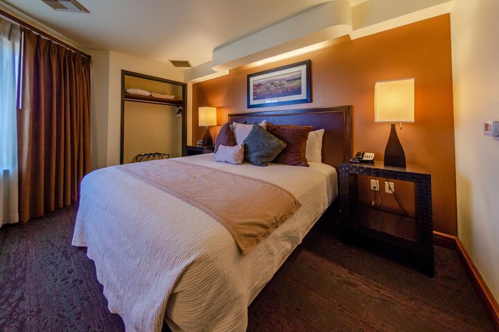 Deluxe King Bed (14 of 30)