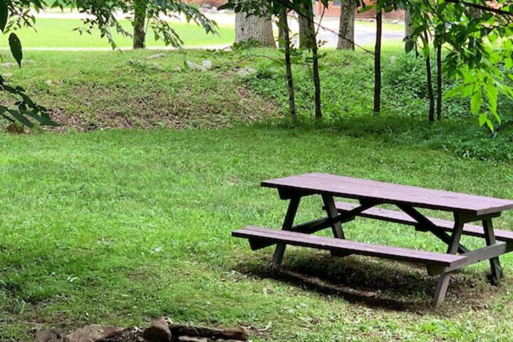 Property Grounds 247 of 261