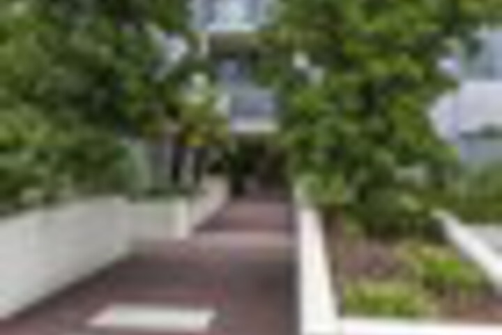 Property Grounds 248 of 255