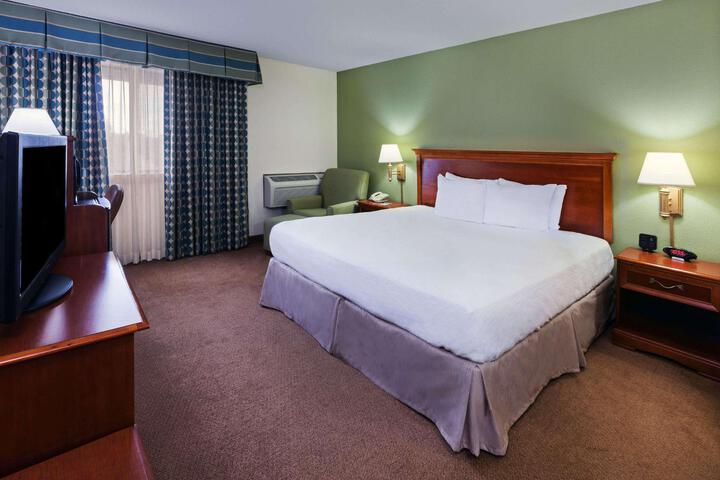 1 King Bed