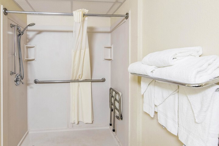 1 King Bed Accessible (8 of 16)
