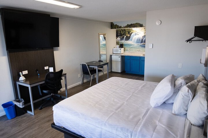 1 King Bed Pet Friendly Accessible (43 of 90)