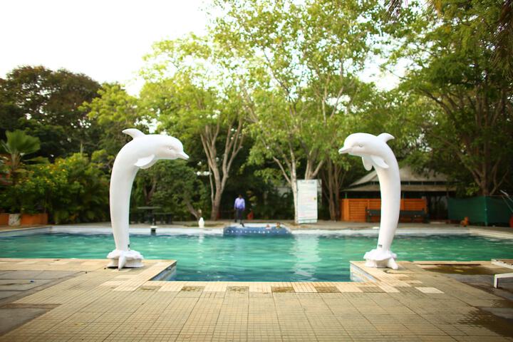 Pool to Cool
