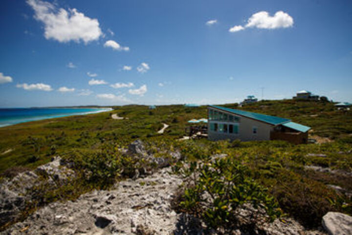 Beach 11 of 88