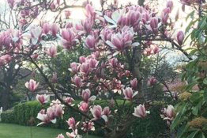 Hotel Exterior 27 of 66