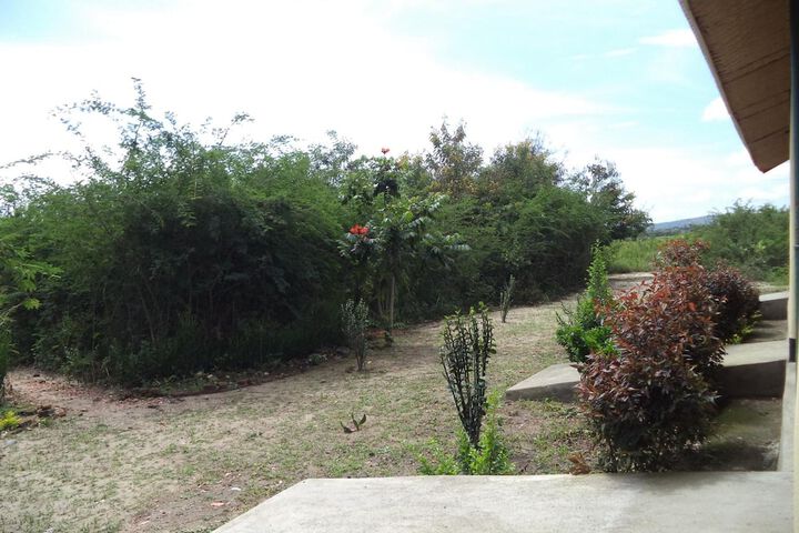 Property Grounds 45 of 58