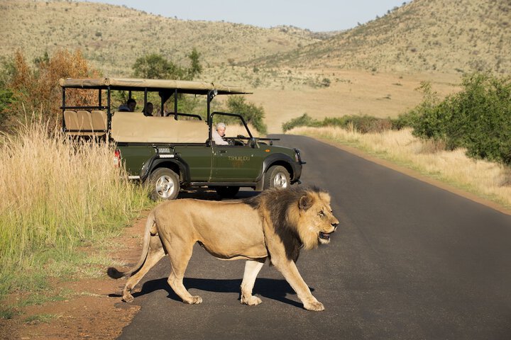 Game viewing