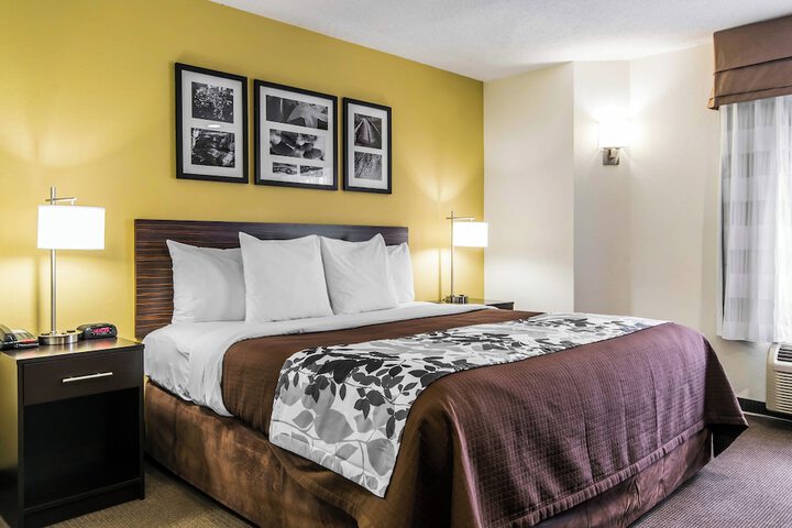 1 King Bed (3 of 7)