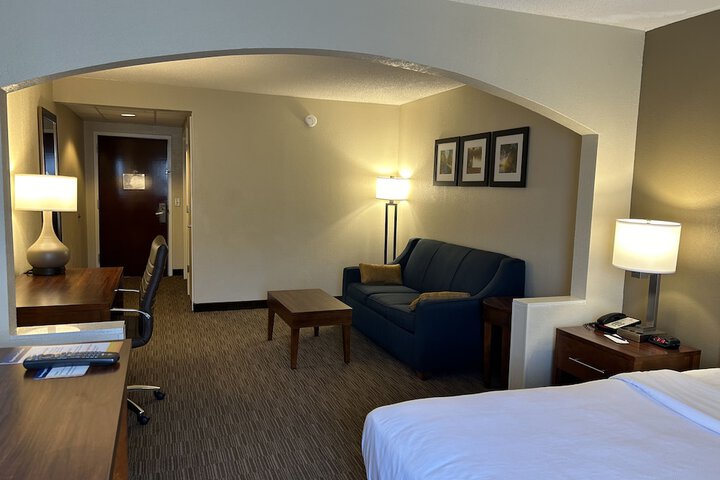 1 King Bed Suite (3 of 10)