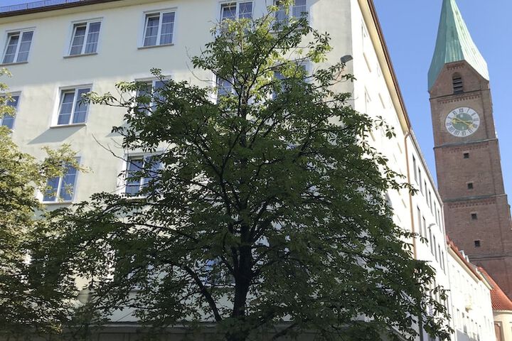 Room 15 of 22
