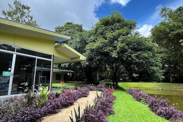 Hotel Colores del Arenal