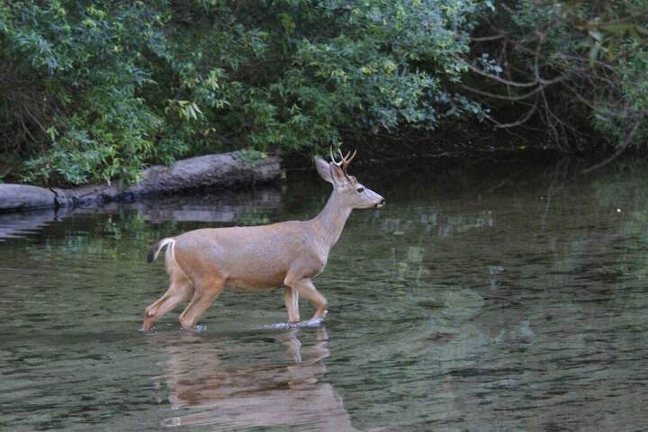 Outdoor Activities 46 of 62