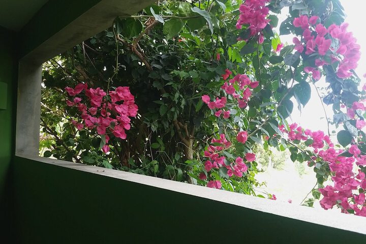 Room 3 of 56