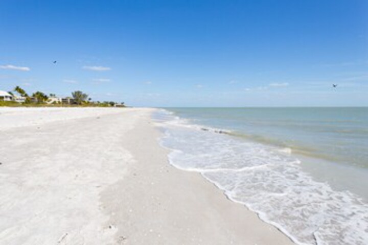 Beach 8 of 29