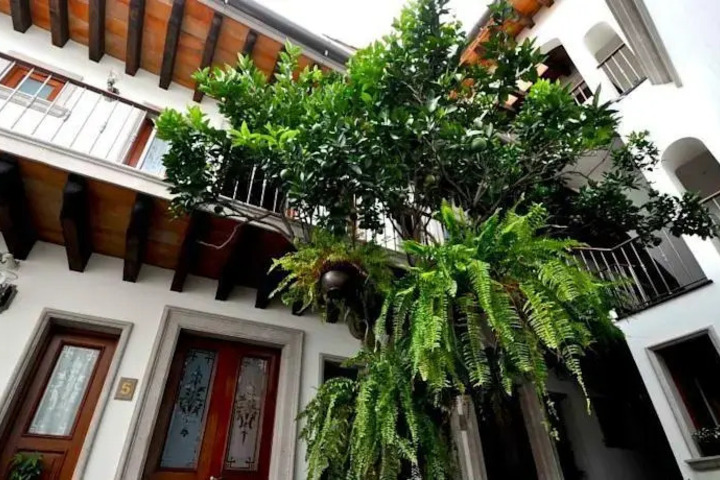 HOTEL EN XALAPA POSADA DE LAS FLORES